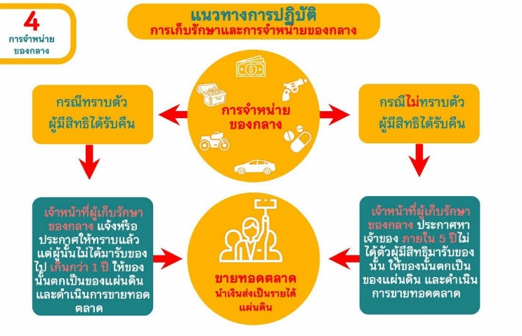 รูปภาพ12